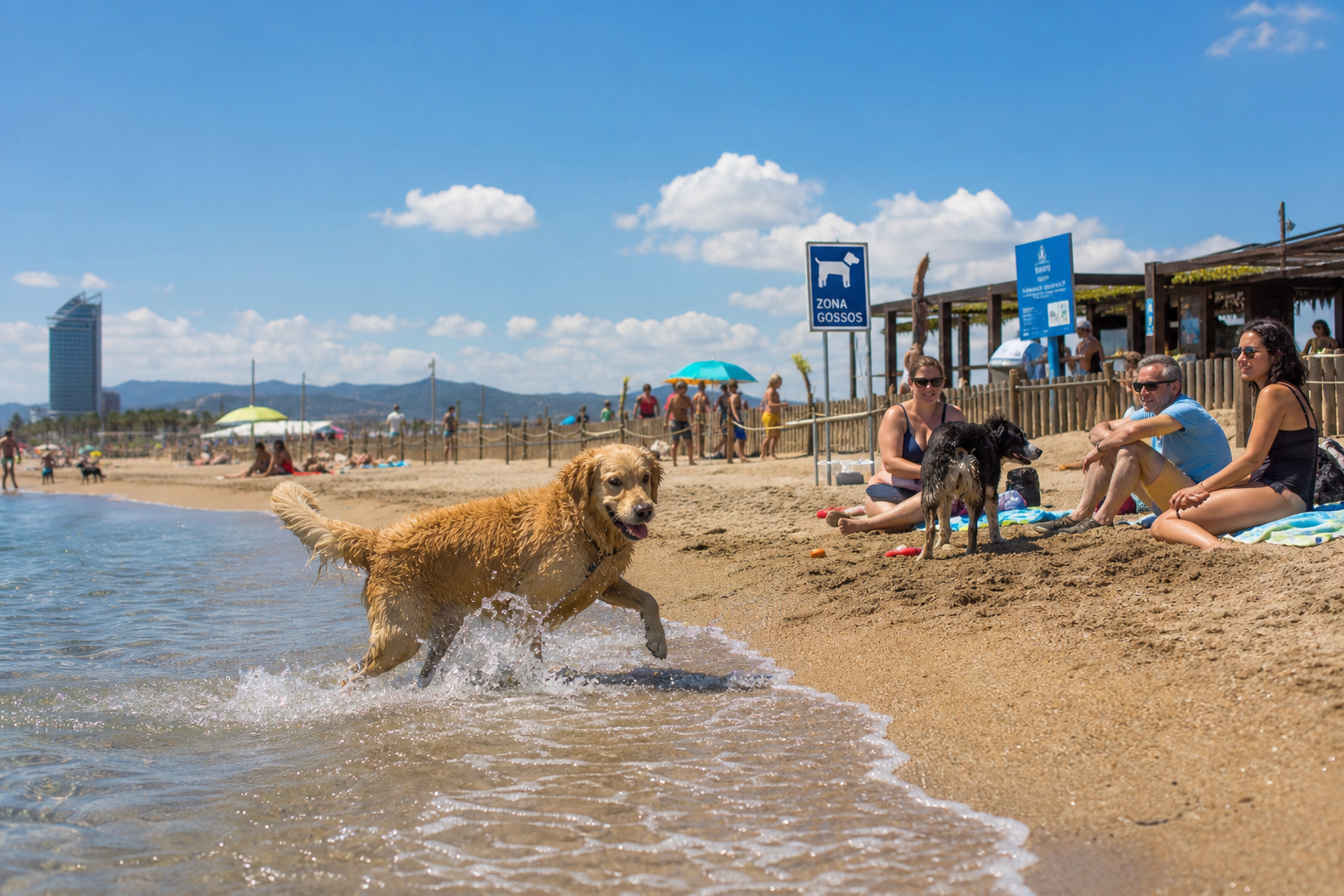 cuidador de perros en barcelona y solicitado en la app de homerd